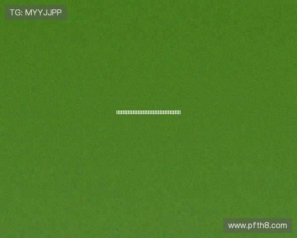 球迷必备说球帝苹果版下载安装指南轻松畅享最新体育资讯